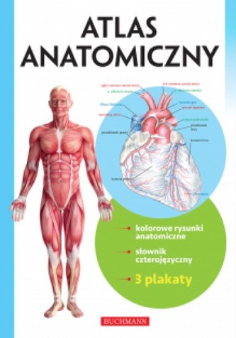 Atlas anatomiczny