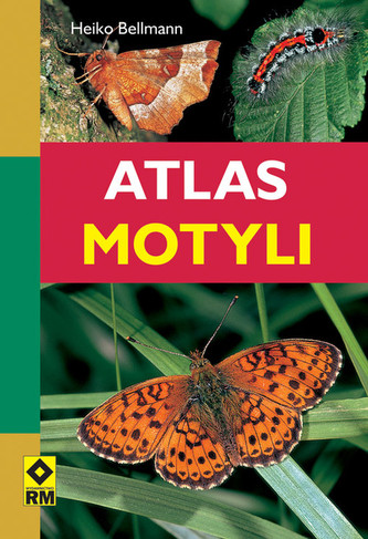 Atlas motyli Atlas motyli