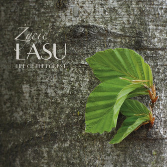 Życie lasu Życie lasu