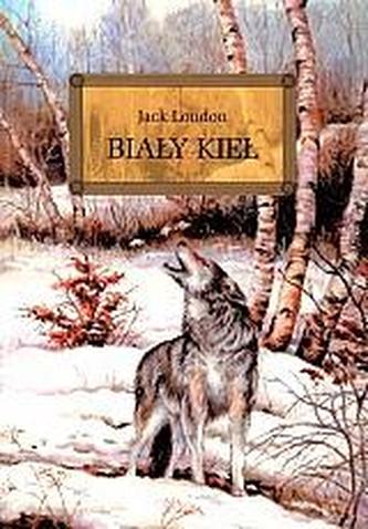 Biały kieł
