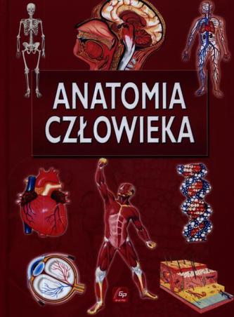 Anatomia człowieka Anatomia człowieka