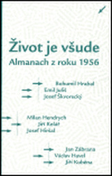 Obrázek