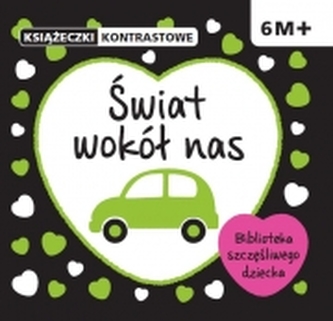 Młody Toruń poetycki