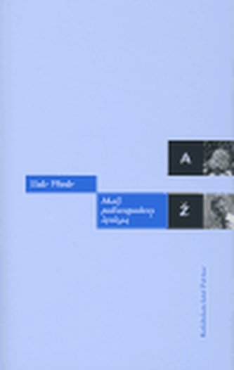 Malý polistopadový lexikon (Bob Fliedr, 2004)