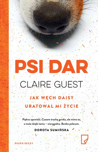 Psi dar Psi dar