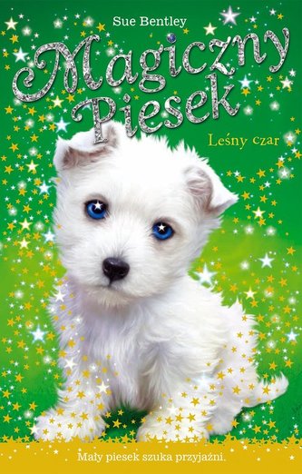LEŚNY CZAR MAGICZNY PIESEK LEŚNY CZAR MAGICZNY PIESEK