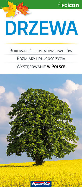 Drzewa   Flexicon