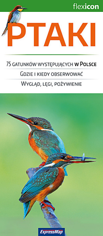 Ptaki.  Flexicon Ptaki.  Flexicon