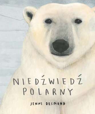 NIEDŹWIEDŹ POLARNY