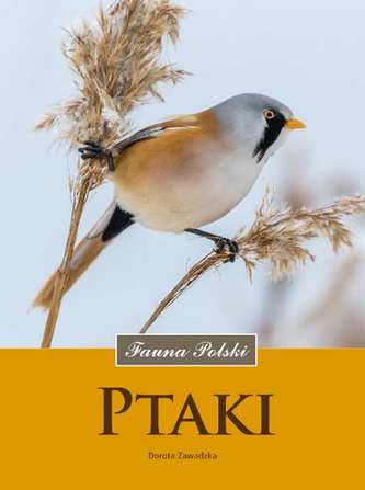 PTAKI FAUNA POLSKI