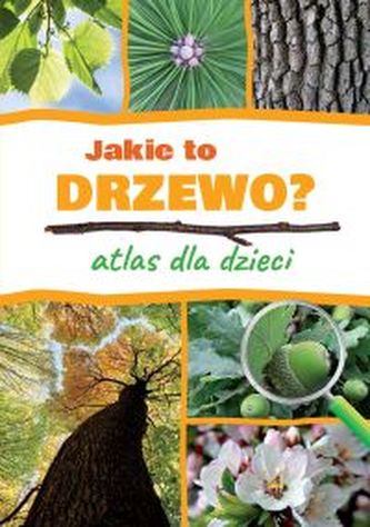 JAKIE TO DRZEWO ATLAS DLA DZIECI