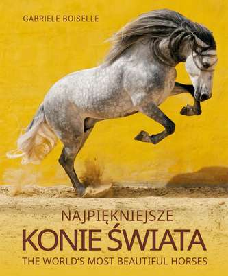 NAJPIĘKNIEJSZE KONIE ŚWIATA NAJPIĘKNIEJSZE KONIE ŚWIATA