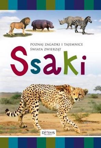 SSAKI SSAKI