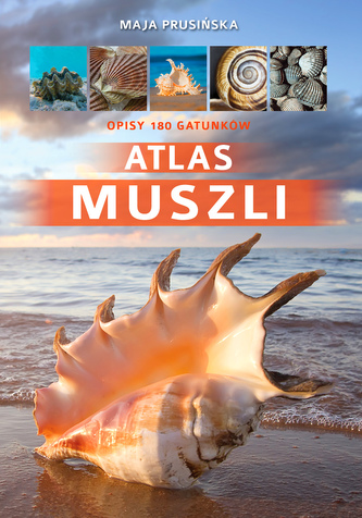 ATLAS MUSZLI