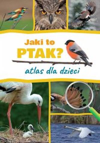 JAKI TO PTAK ATLAS DLA DZIECI