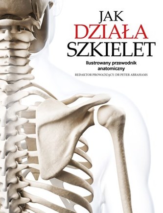 JAK DZIAŁA SZKIELET ILUSTROWANY PRZEWODNIK ANATOMICZNY
