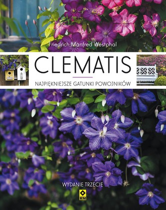 CLEMATIS WYD. 3