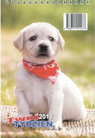 KALENDARZ 2018 TWÓJ TYDZIEŃ A5