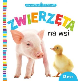 Maluszek poznaje zwierzęta na wsi