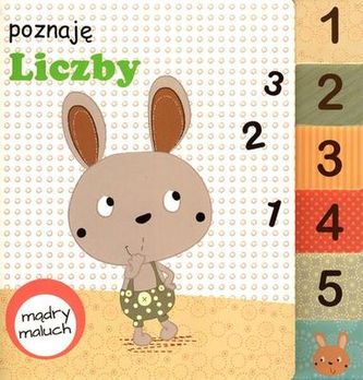 POZNAJĘ LICZBY MĄDRY MALUCH