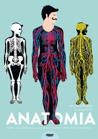 ANATOMIA OBRAZ LUDZKIEGO CIAŁA NA WYJĄTKOWYCH AŻUROWYCH RYCINACH