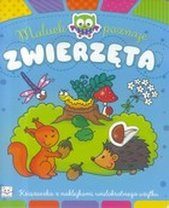 Maluch poznaje zwierzęta Maluch poznaje zwierzęta