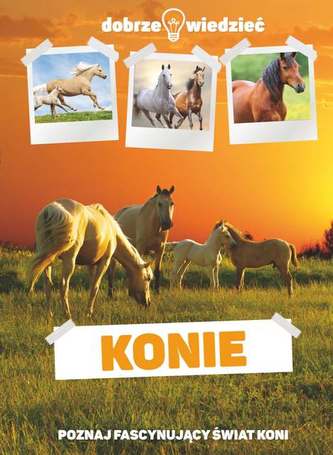 KONIE DOBRZE WIEDZIEĆ
