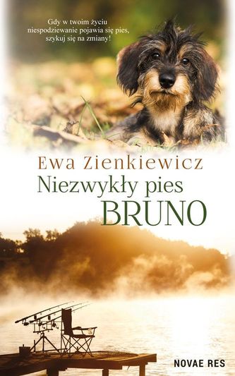 NIEZWYKŁY PIES BRUNO