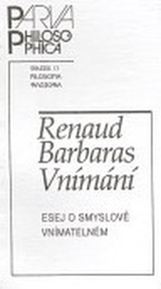 Vnímání - esej o smyslově vnímatelném