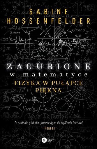 Zagubione w matematyce. Fizyka w pułapce piękna