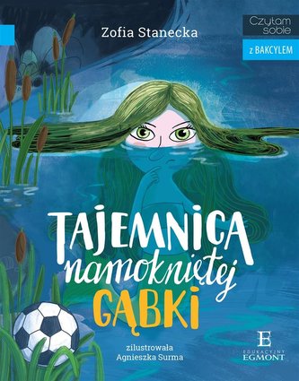 Tajemnica namokniętej gąbki Tajemnica namokniętej gąbki