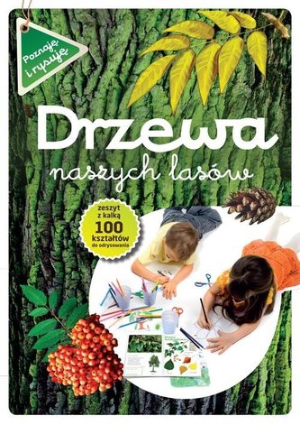 Drzewa naszych lasów Drzewa naszych lasów