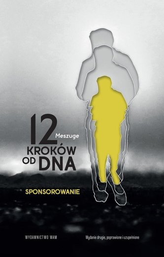 12 kroków od dna. Sponsorowanie