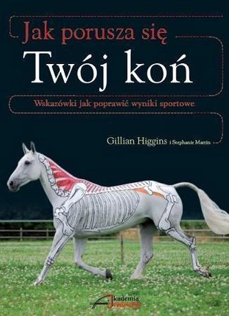 Jak porusza się Twój koń Jak porusza się Twój koń