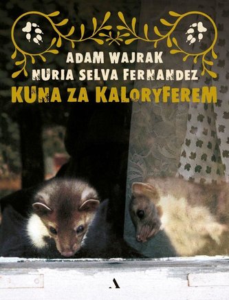 Kuna za kaloryferem Kuna za kaloryferem