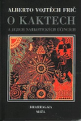 Obrázek