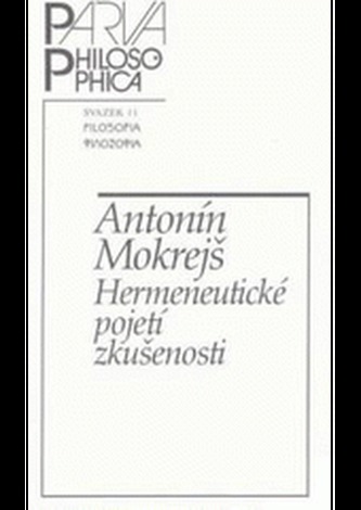 Hermeneutické pojetí zkušenosti
