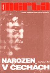 Obrázek