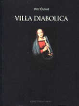 Obrázek
