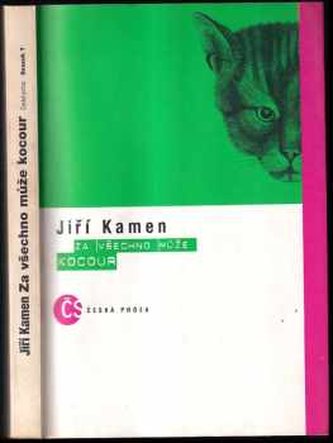 Za všechno může kocour