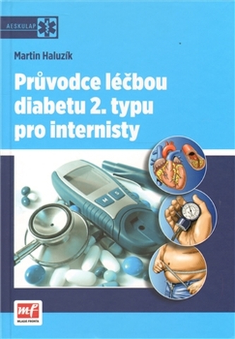 Průvodce léčbou diabetu 2. typu pro internisty (Martin Haluzík, 2011)