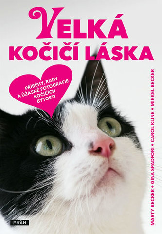 Velká kočičí láska : příběhy, rady a úžasné fotografie kočičích bytostí (Marty Becker, 2011)