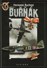 Buřňák