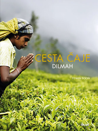 Cesta čaje Dilmah (Edwin Soon, 2011)