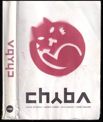 Chyba (Marek Šindelka, 2011)