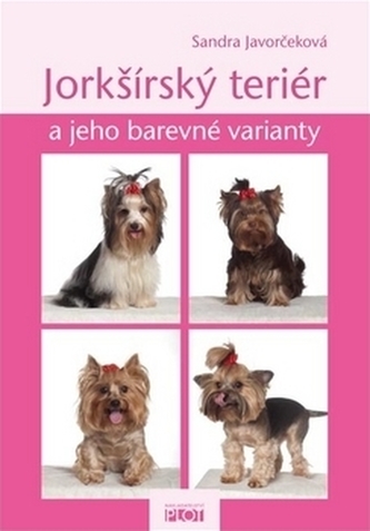 Jorkšírský teriér a jeho barevné varianty