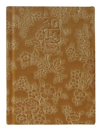 Diář 2013 Crazy kapesní - Honey