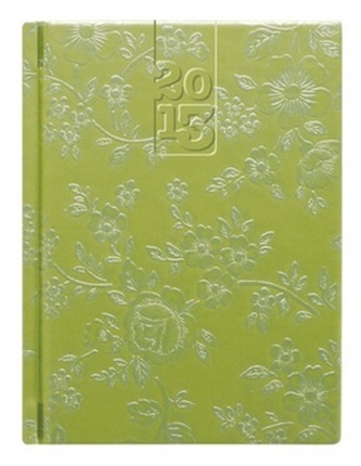 Diář 2013 Crazy kapesní - Green