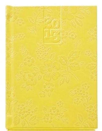 Diář 2013 Crazy kapesní - Sunny