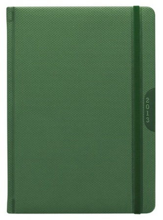 Diář 2013 denní A5 - Janus zelený